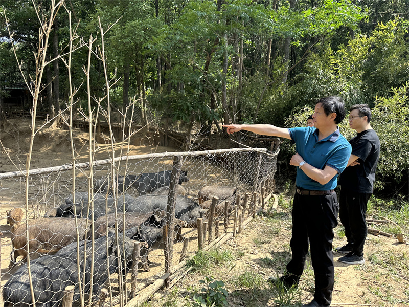 “追尋紅色足跡，擁抱生態夏意”-夏日團建活動9