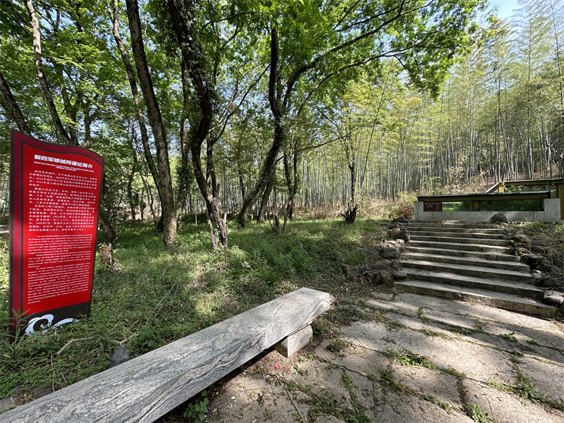 “追尋紅色足跡，擁抱生態夏意”-夏日團建活動2